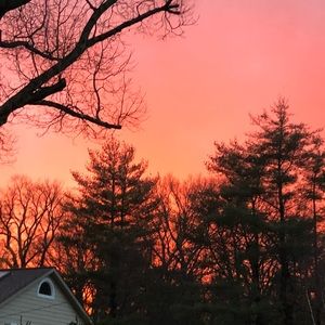 Meet your Posher, Antonella